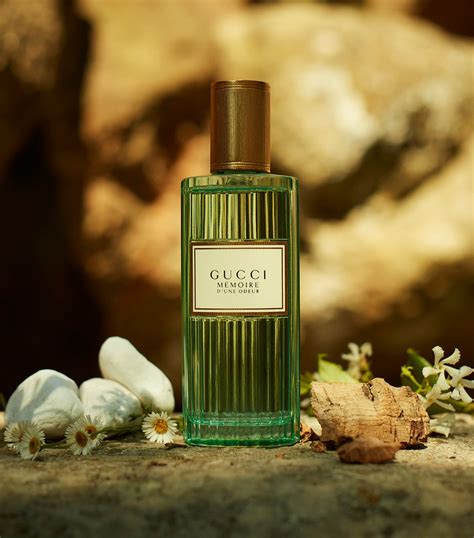 gucci memoire d'une odeur dupe|Gucci memoire d'une odeur fragrantica.